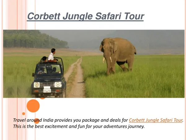 Adventures jungle safari tour in india