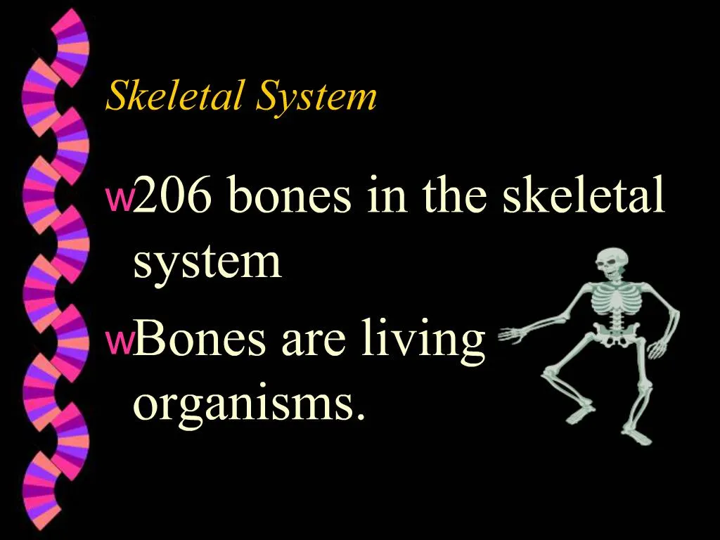 Ppt Skeletal System Powerpoint Presentation Free Download Id1463866