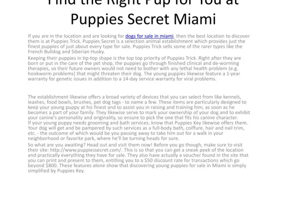 Find the Right Puppy for You at Puppies