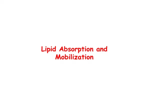Lipid Absorption and Mobilization