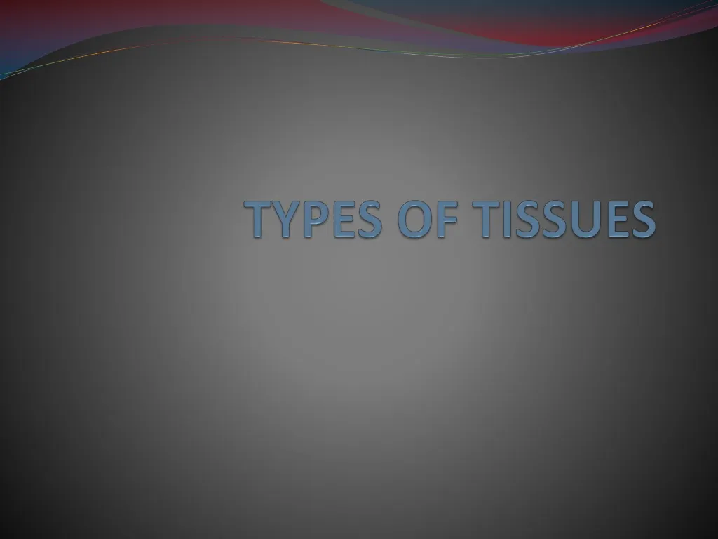 types of tissues