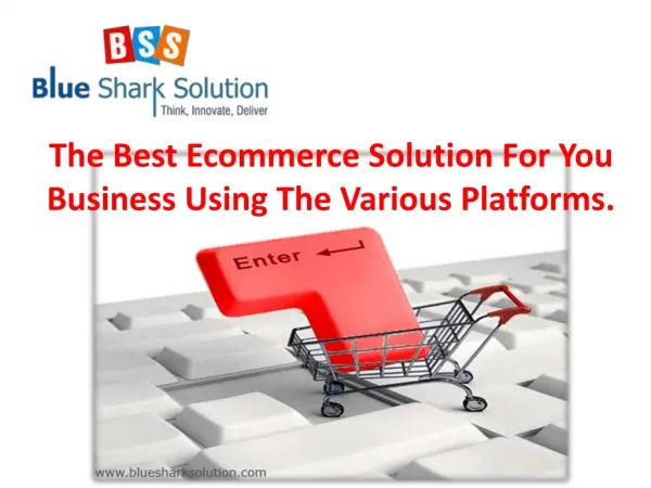 The Best Ecommerce Solution For You Business Using The Vario