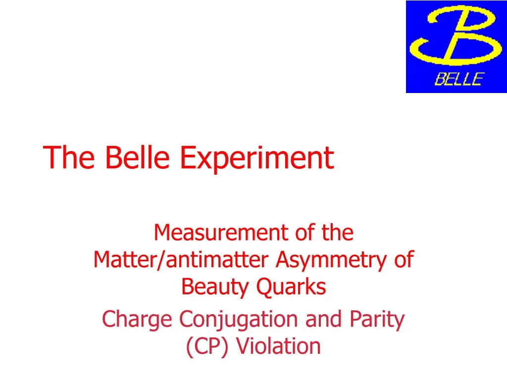 the belle experiment