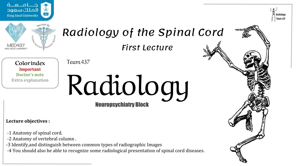radiology of the spinal cord