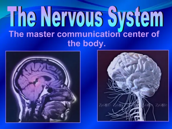 The master communication center of the body.