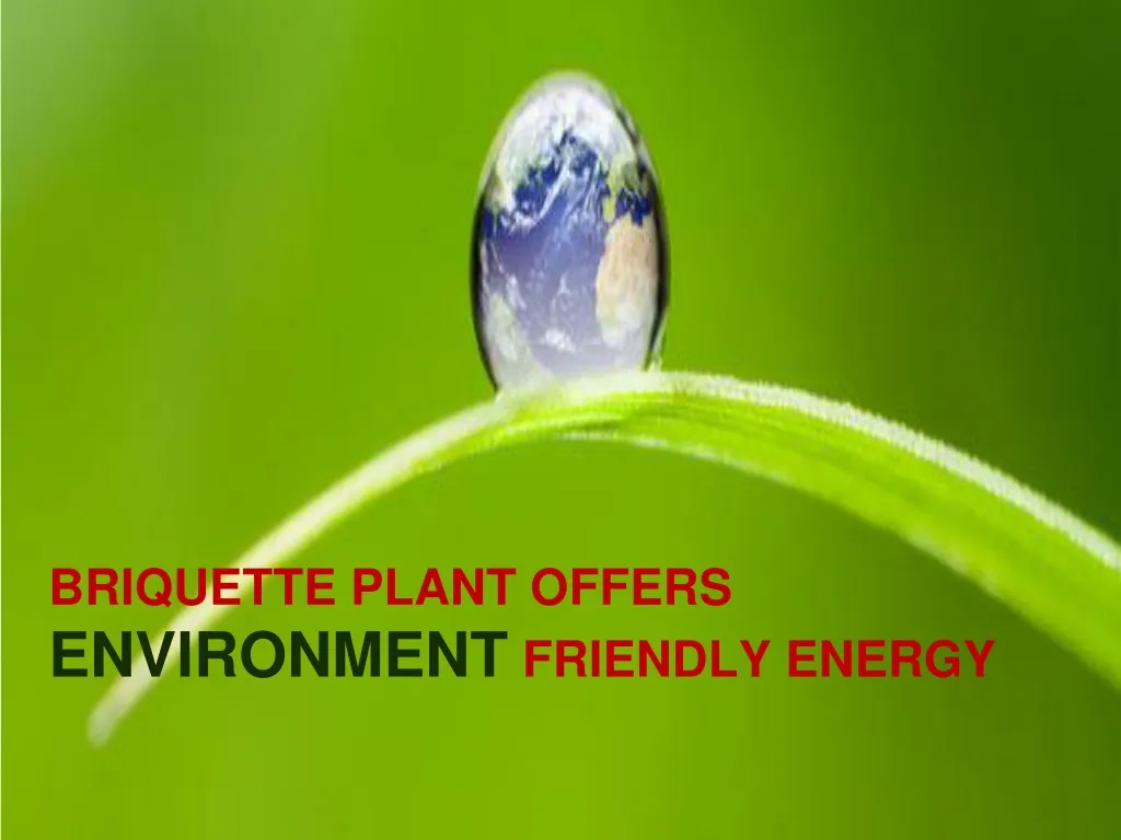 briquette plant offers environment friendly energy