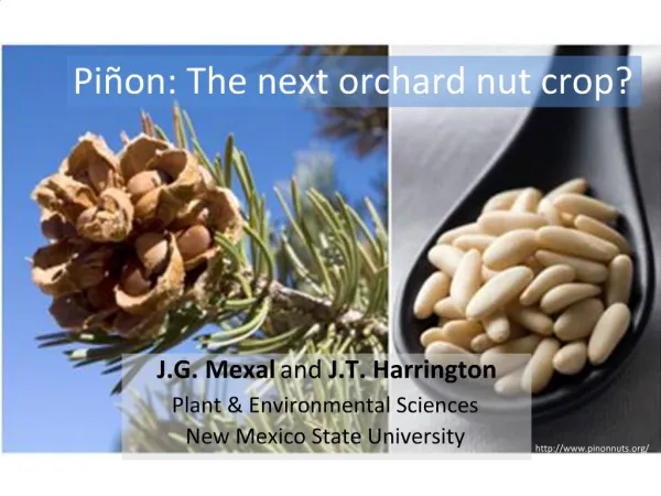 Pi on: The next orchard nut crop