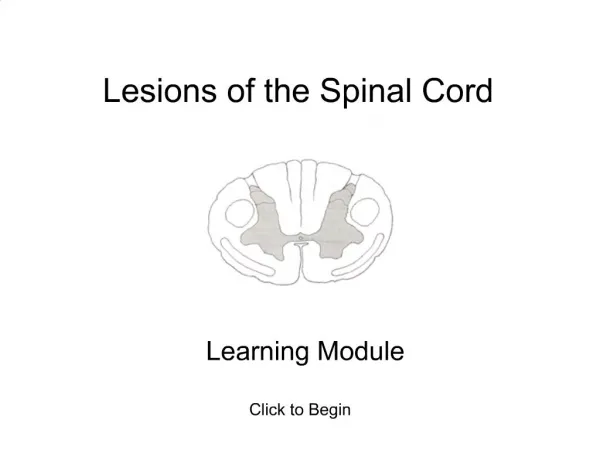 Lesions of the Spinal Cord