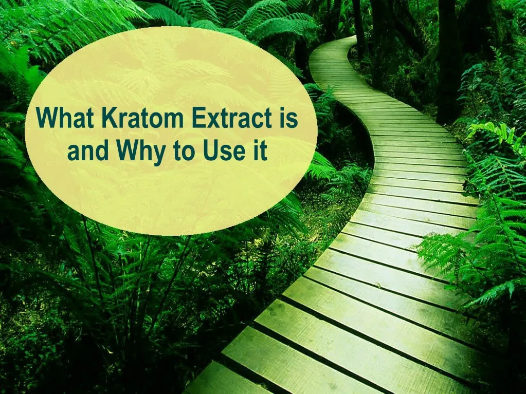 what kratom extract is and why to use it