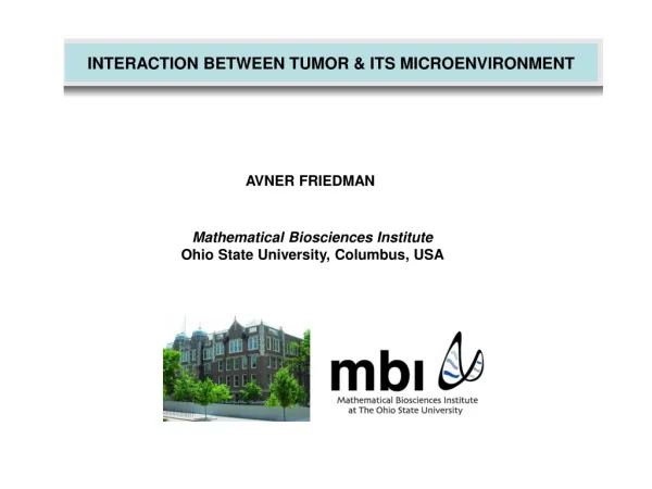 INTERACTION BETWEEN TUMOR &amp; ITS MICROENVIRONMENT