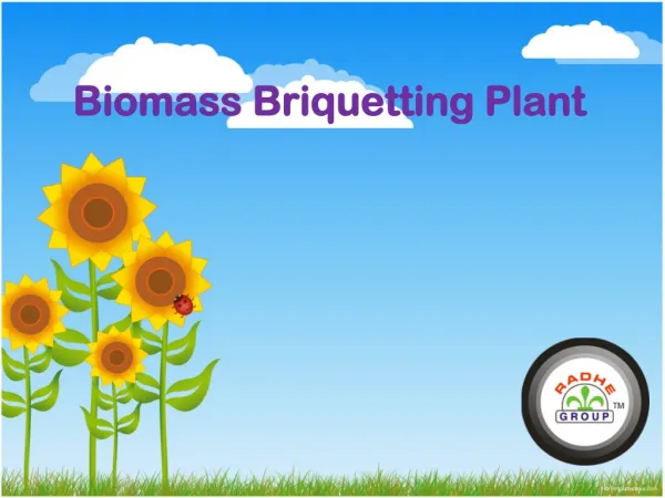 Biomass Briquetting Plant