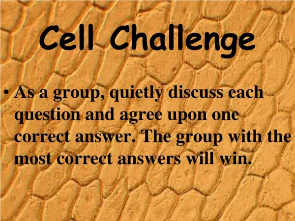 Cell Challenge