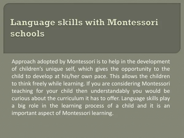 Montessori school Somerset NJ