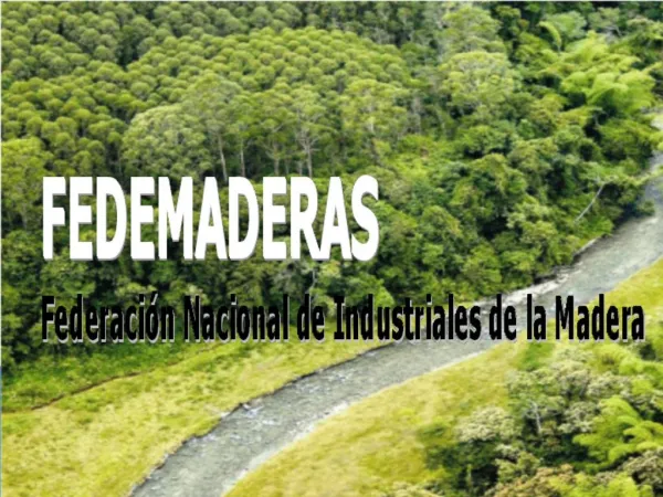 LA INDUSTRIA FORESTAL EN COLOMBIA