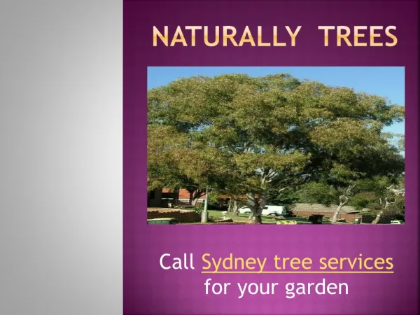 Call Sydney tree services for your garden