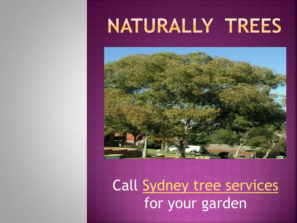 naturally trees
