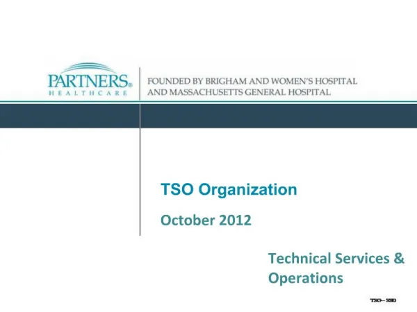TSO Organization