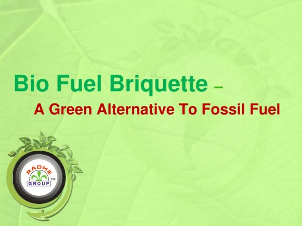 Bio Fuel Briquette – A Green Alternative To Fossil Fuel
