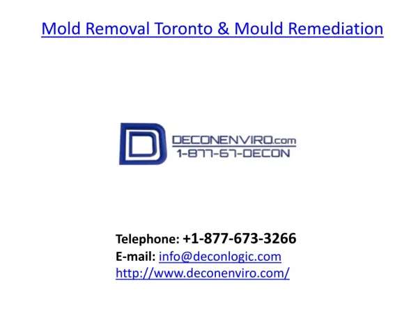 Mold Removal Toronto and Mould Remediation