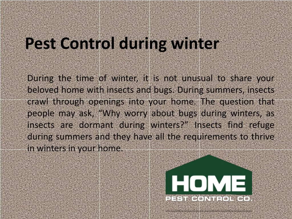 pest control during winter