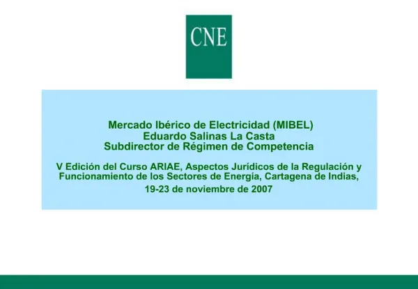 Mercado Ib rico de Electricidad MIBEL Eduardo Salinas La Casta Subdirector de R gimen de Competencia V Edici n del Curs