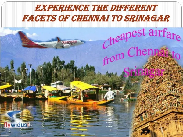 Experience The Different Facets of chennai to Srinagar