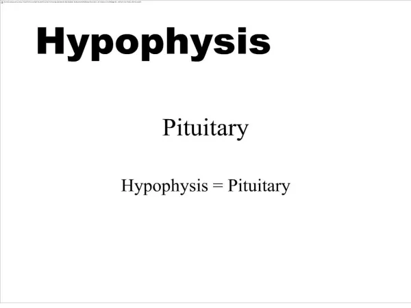 pituitary