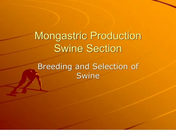 mongastric production swine section