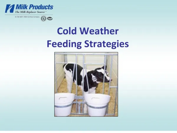 cold weather feeding strategies