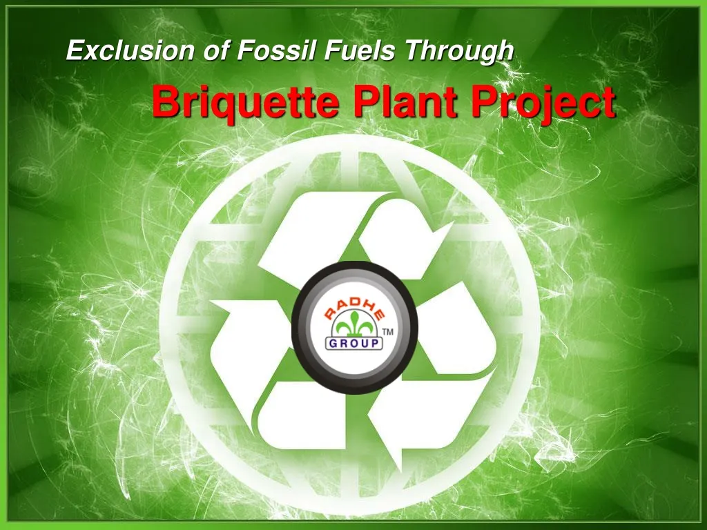 briquette plant project