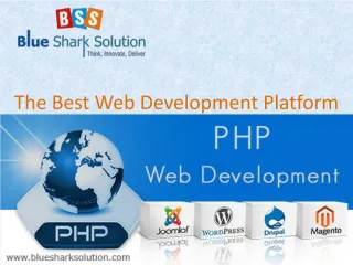 PHP Web Development : The Best Web Development Platform - slide 1
