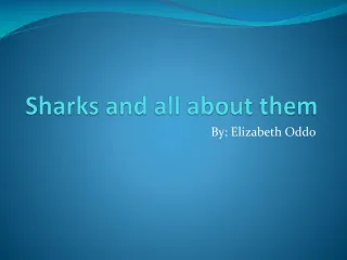 sharks - slide 1