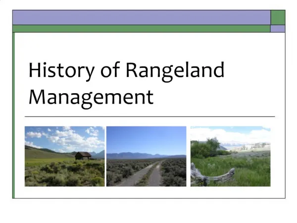 Values of Rangelands