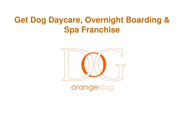 Get Dog Daycare, Overnight Boarding