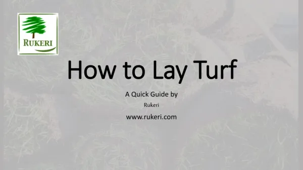 How to Lay Turf - a Quick Guide on Laying Turf