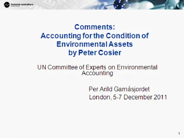 UN Committee of Experts on Environmental Accounting