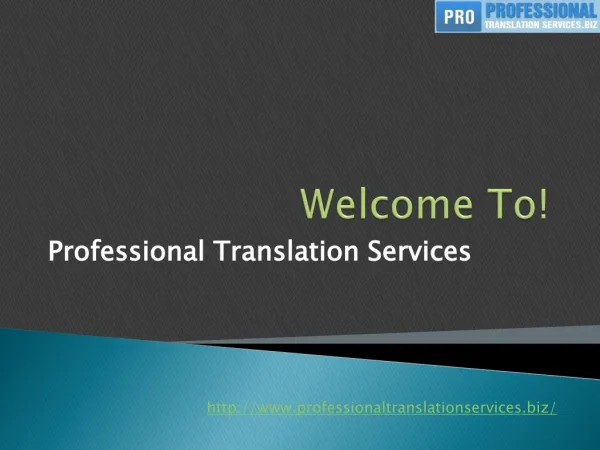 professionaltranslationservices.biz