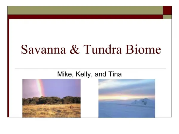savanna tundra biome