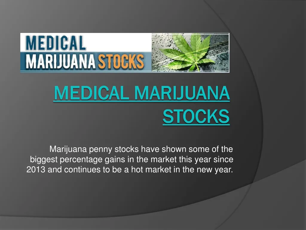 medical marijuana stocks