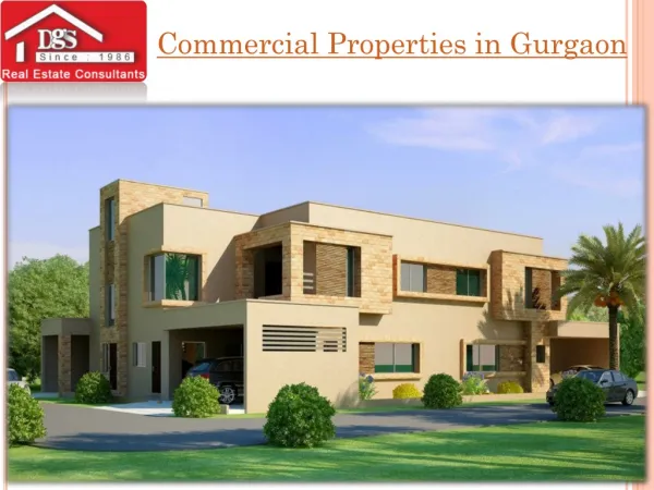 Commercial Properties in Noida