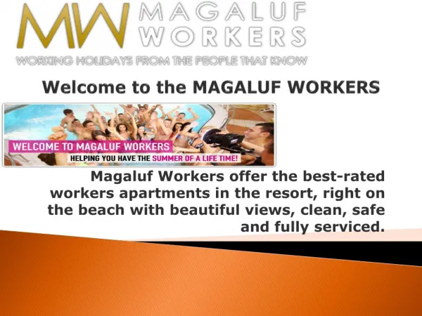 work in magaluf