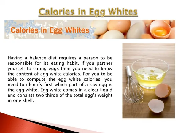 Egg White Calories