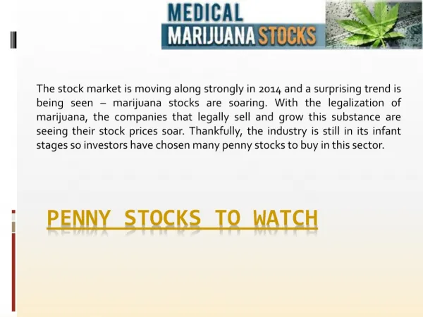 Best Stocks To Buy