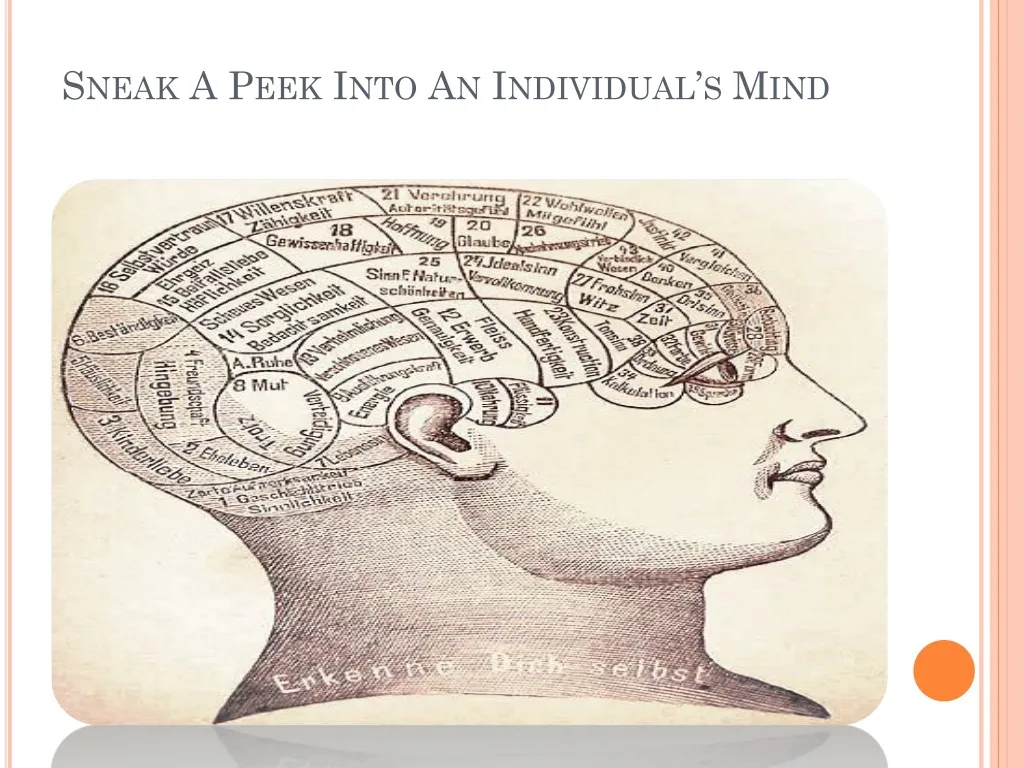 sneak a peek into an individual s mind