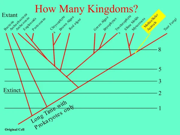 How Many Kingdoms