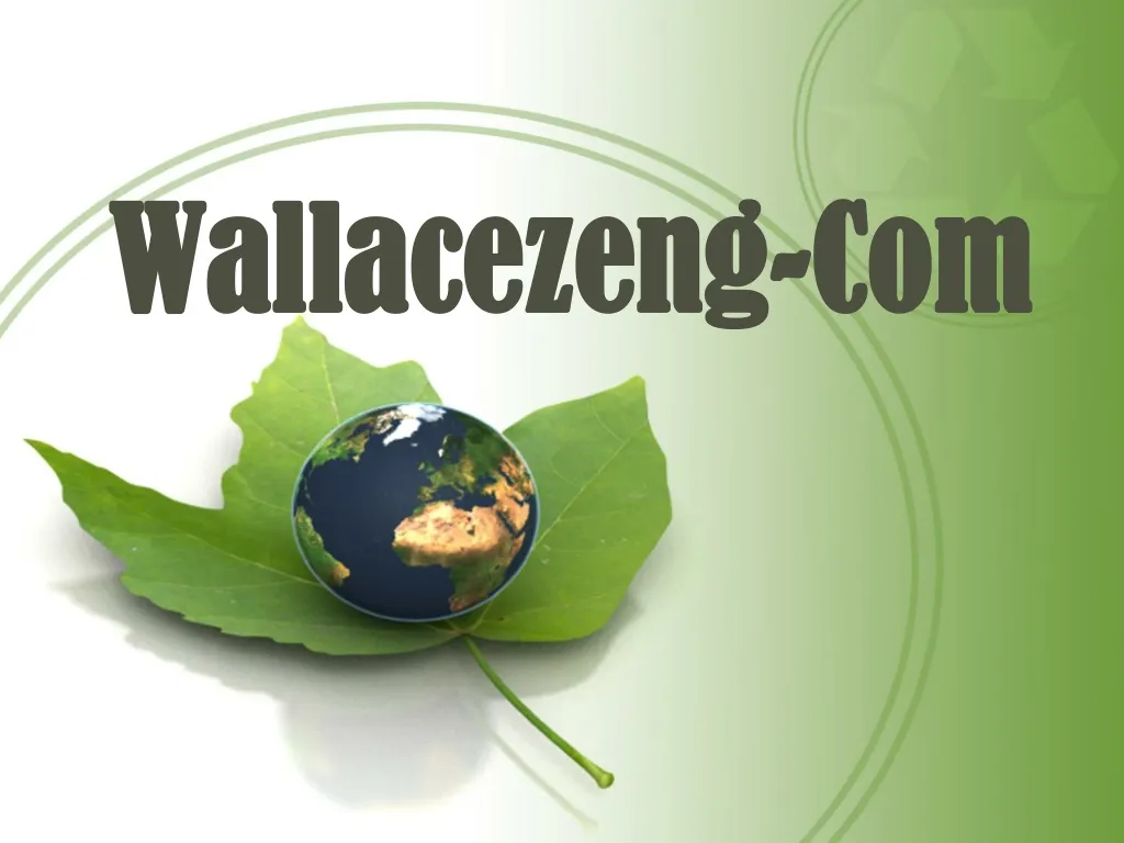 wallacezeng com