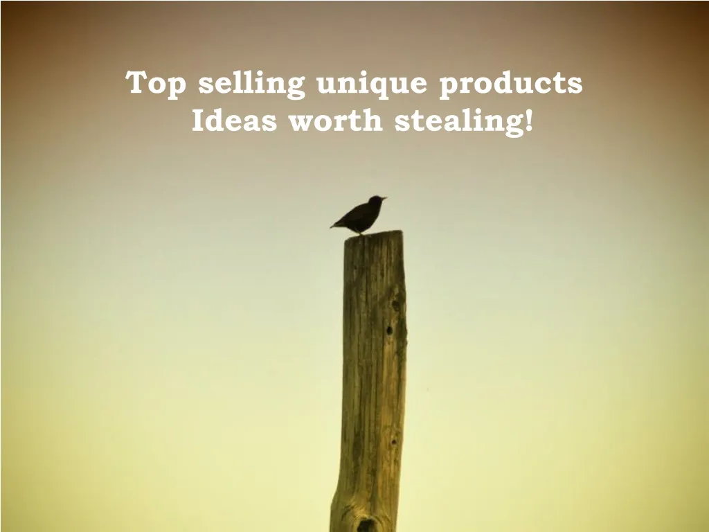 top selling unique products ideas worth stealing