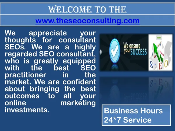SEO Consulting