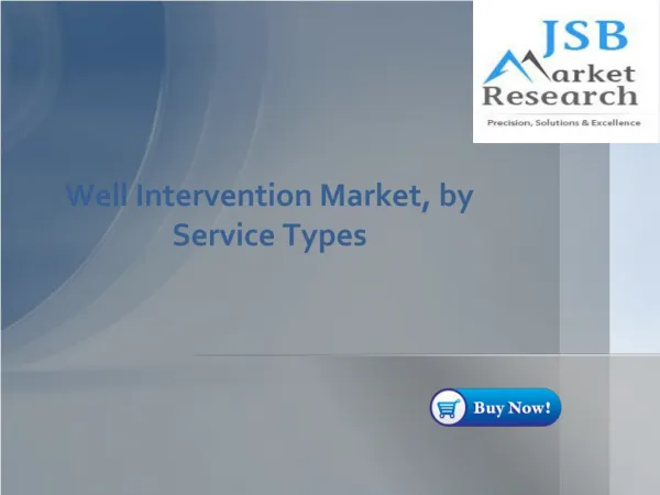 Well Intervention Market, by Service Types