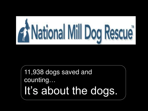 11,938 dogs saved and counting… It’s about the dogs.